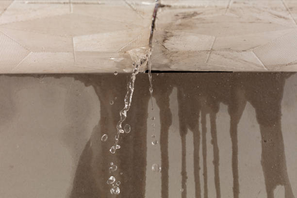 Professional Sewage Cleanup technician working in Gill, MA